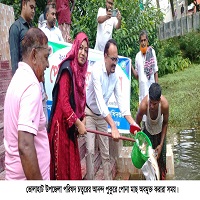 ভোলাহাটে পোনামাছ অবমুক্তকরণ