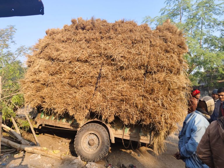 বাড়ি ফেরা হলো না শিশু নূর হায়াতের