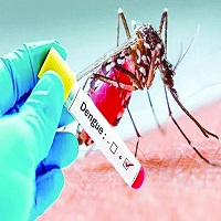 চাঁপাইনবাবগঞ্জে গত ২৪ ঘণ্টায় ডেঙ্গু আক্রান্ত ৭