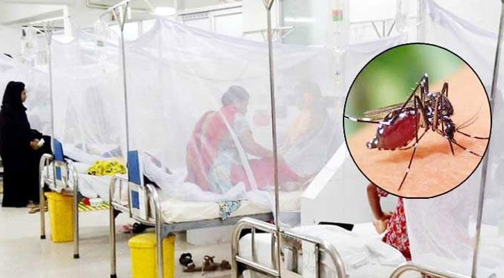 গত ২৪ ঘণ্টায় ডেঙ্গু আক্রান্ত হয়ে হাসপাতালে ৪৮৭