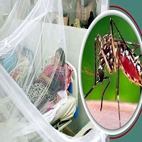 সারাদেশে ডেঙ্গুতে ৩ জনের মৃ*ত্যু, হাসপাতালে ভর্তি ৩৬৩