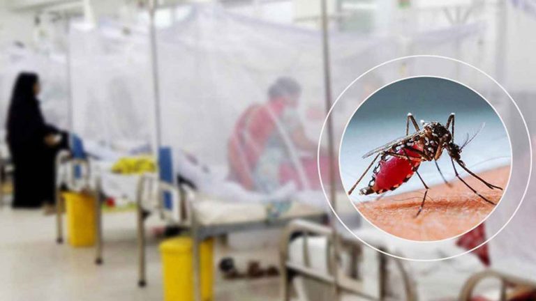২৪ ঘণ্টায় ডেঙ্গুতে আরও ৬ জনের মৃ*ত্যু, হাসপাতালে ৬৪৭