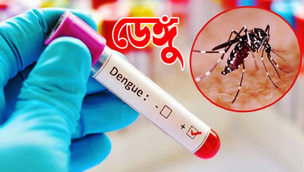 ডেঙ্গুতে আরো ২ মৃত্যু হাসপাতালে ভর্তি ৬৭২