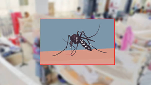 ২৪ ঘণ্টায় ডেঙ্গুতে আরও ৪ মৃত্যু, হাসপাতালে ১,১৮১ জন