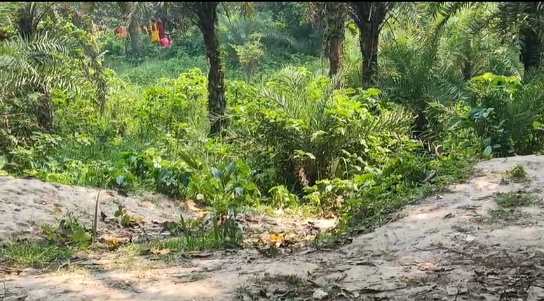 গোমস্তাপুর সীমান্তে ২৮ জনকে পুশইনের চেষ্টা বিএসএফের; ২বারের পতাকা বৈঠকেও মেলেনি সমাধান