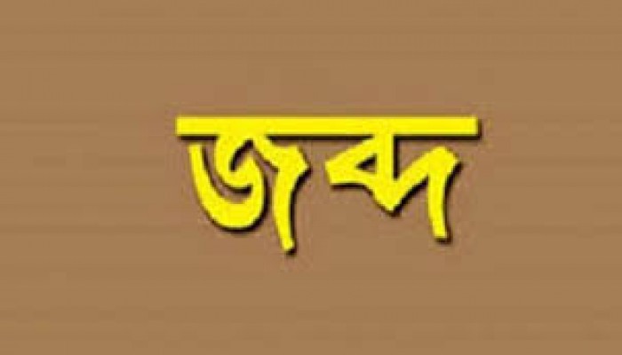 শিবগঞ্জ সীমান্তে মাদকদ্রব্যের চালান জব্দ