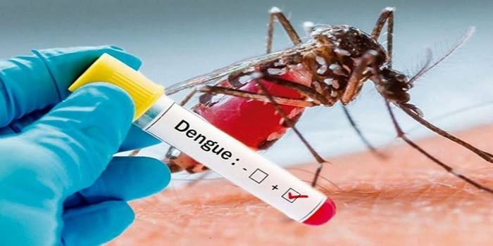 ডেঙ্গুতে আরও ১ প্রাণহানি