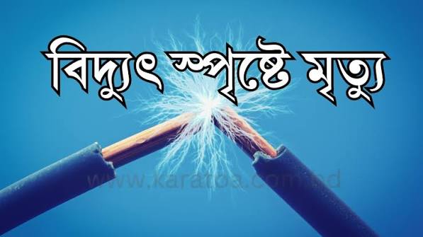 শিবগঞ্জে বিদ্যূৎস্পৃষ্ট হয়ে আম শ্রমিকের মৃত্যু