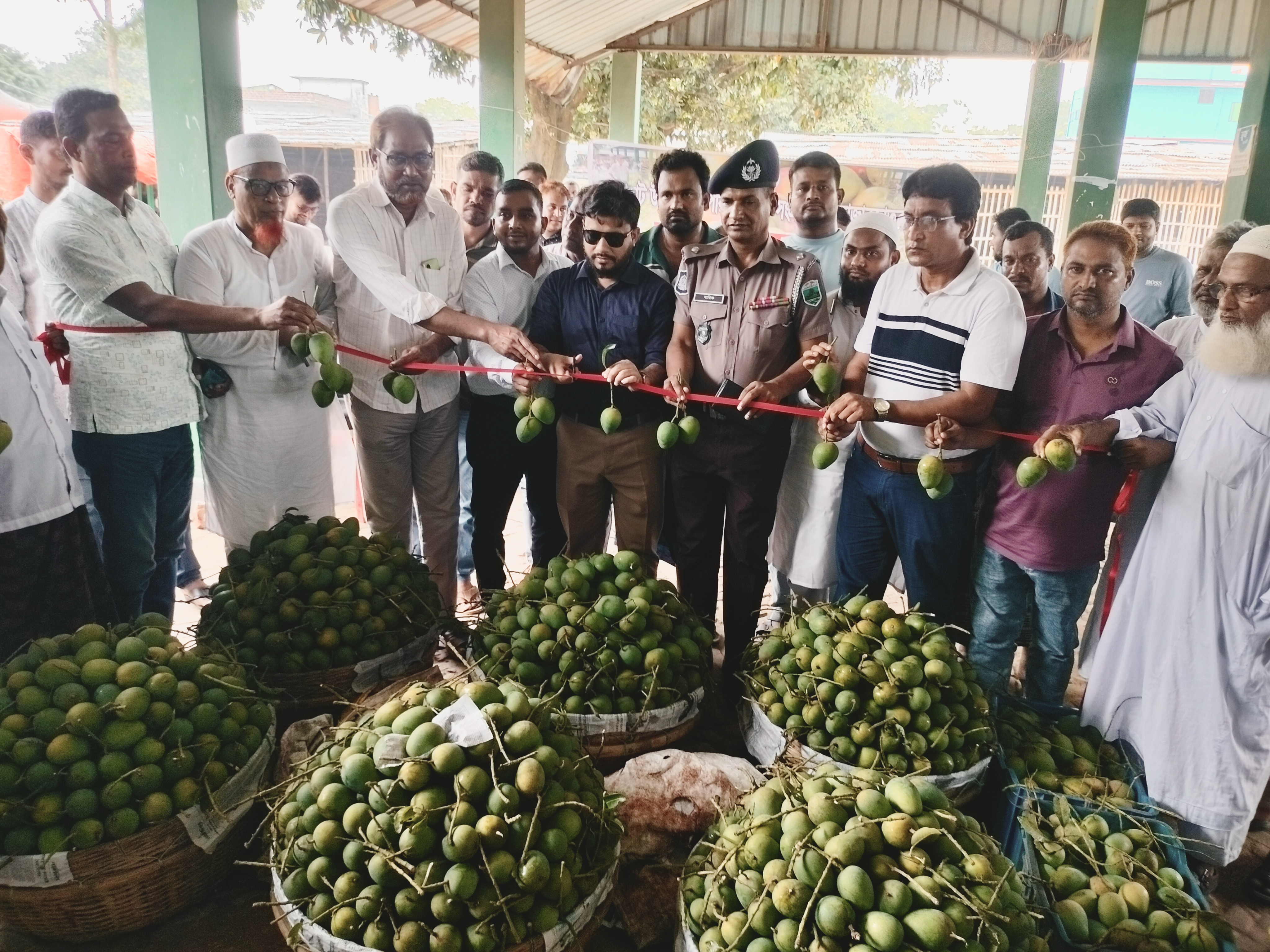 ভোলাহাট আম ফাউন্ডেশনে পরিপক্ক আম সংগ্রহ ও বাজারজাতকরণের উদ্বোধন