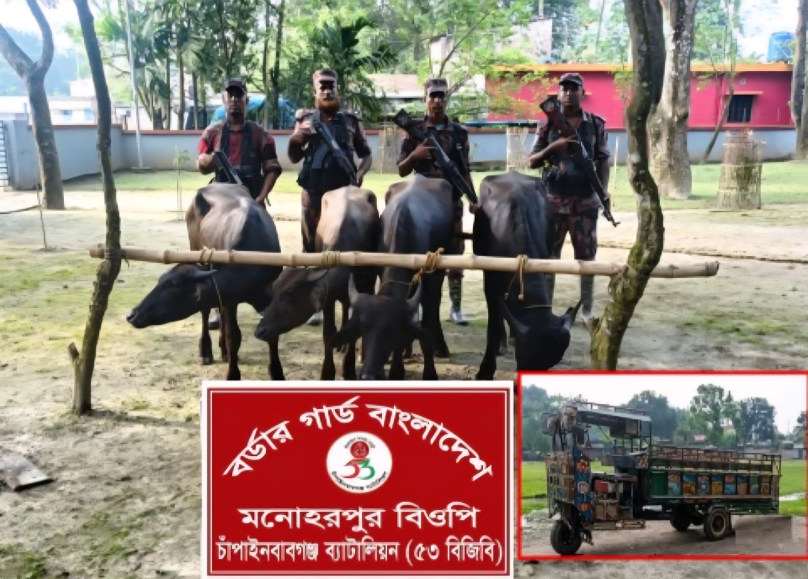 শিবগঞ্জ সীমান্তে ৪টি ভারতীয় মহিষ ও ১টি  ট্রলি গাড়ি জব্দ