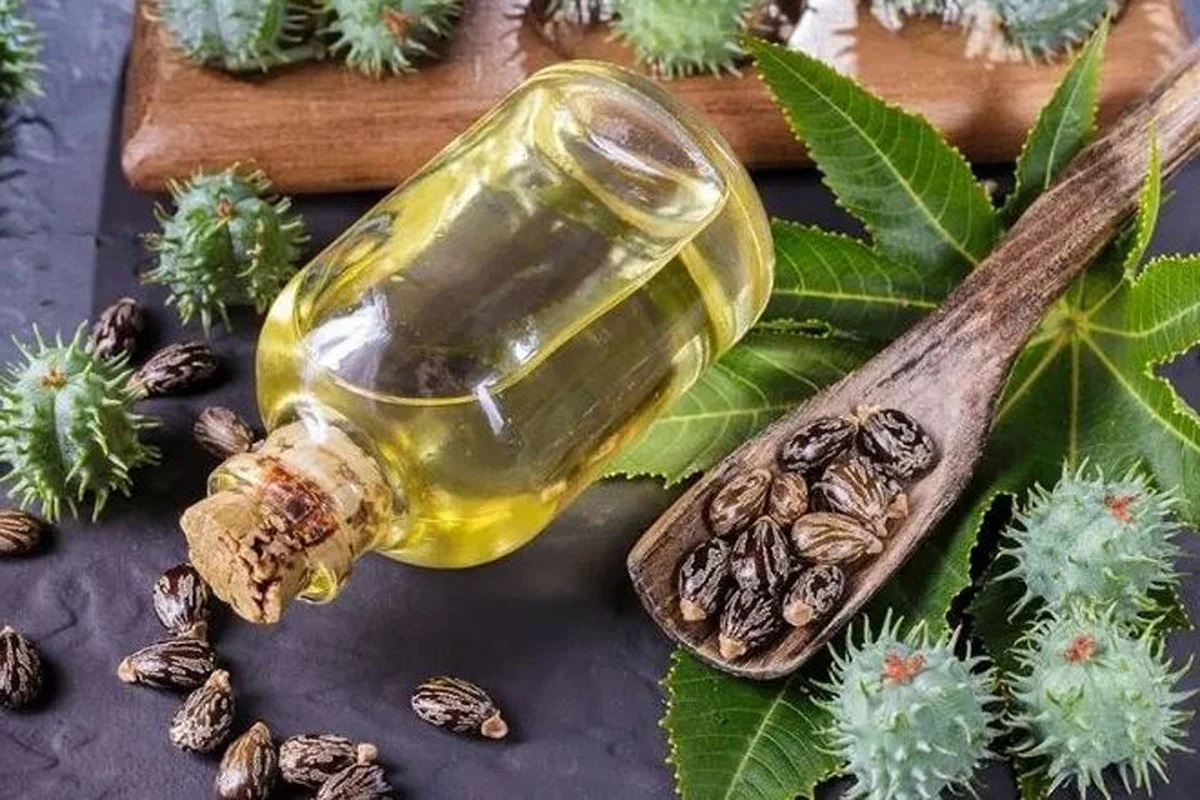 ক্যাস্টর অয়েল সত্যিই কি চুলের বৃদ্ধি ঘটায়?