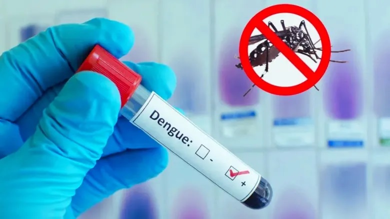 ২৪ ঘণ্টায় ডেঙ্গুতে ৬ জনের মৃত্যু, হাসপাতালে ১ হাজার ৮৮৬