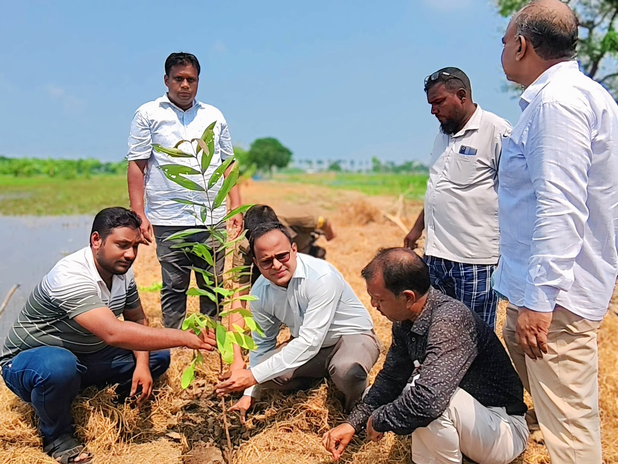 রহনপুর পৌর এলাকায় বৃক্ষরোপণ রোপণ কর্মসূচি অনুষ্ঠিত