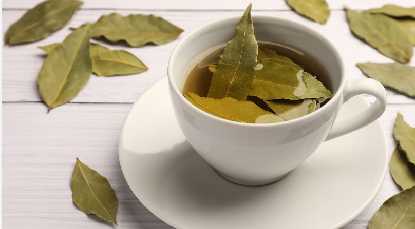 বর্ষাকালে তেজপাতার পানি পানে যেসব সুফল মিলবে