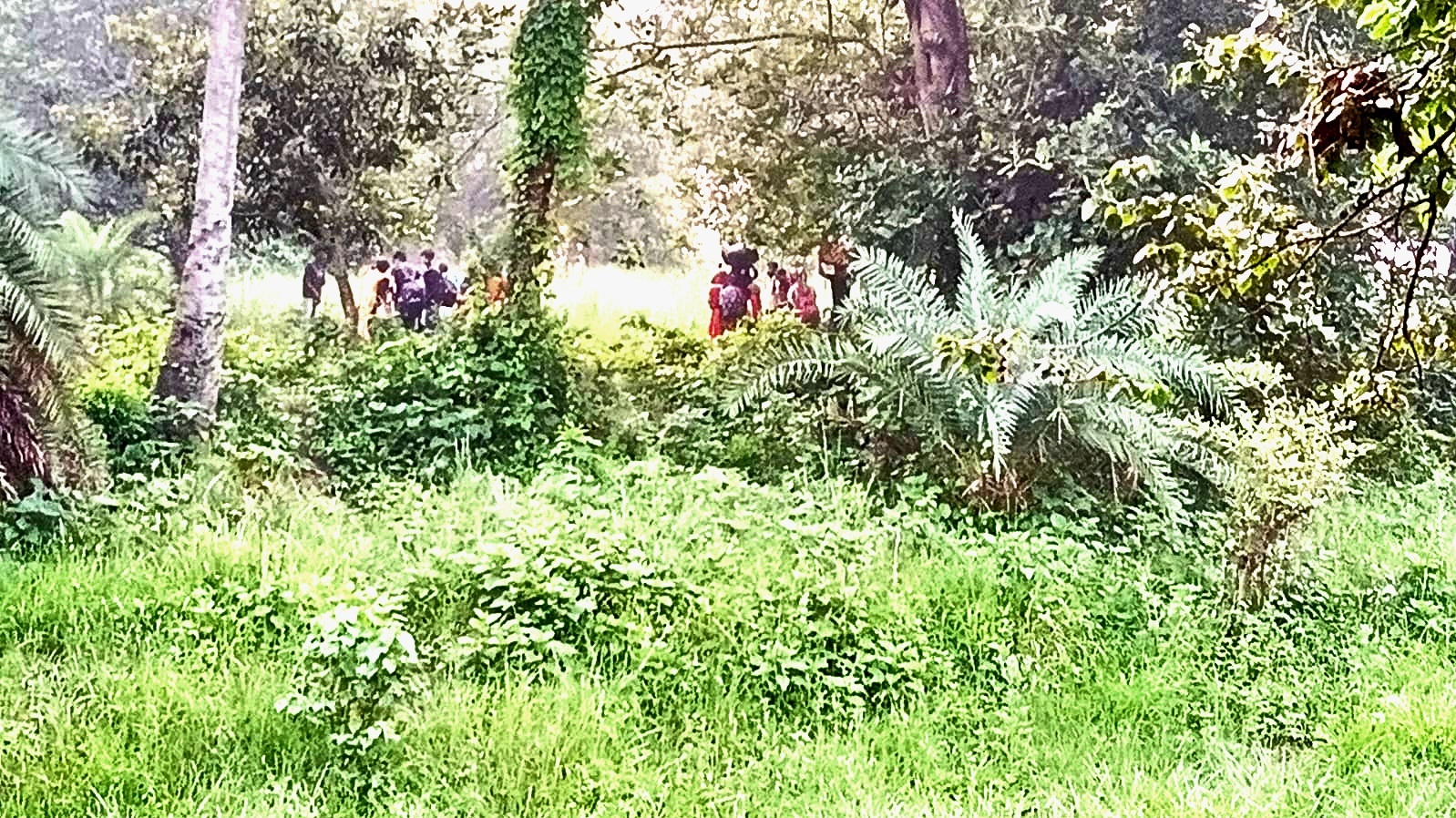 গোমস্তাপুরের বাঙ্গাবাড়ি সীমান্তে ২৮ জনকে পুশইনের চেষ্টা;  সতর্ক অবস্থানে বিজিবি