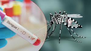 চাঁপাইনবাবগঞ্জে একদিনে ডেঙ্গু আক্রান্ত আরো ৫১ জন