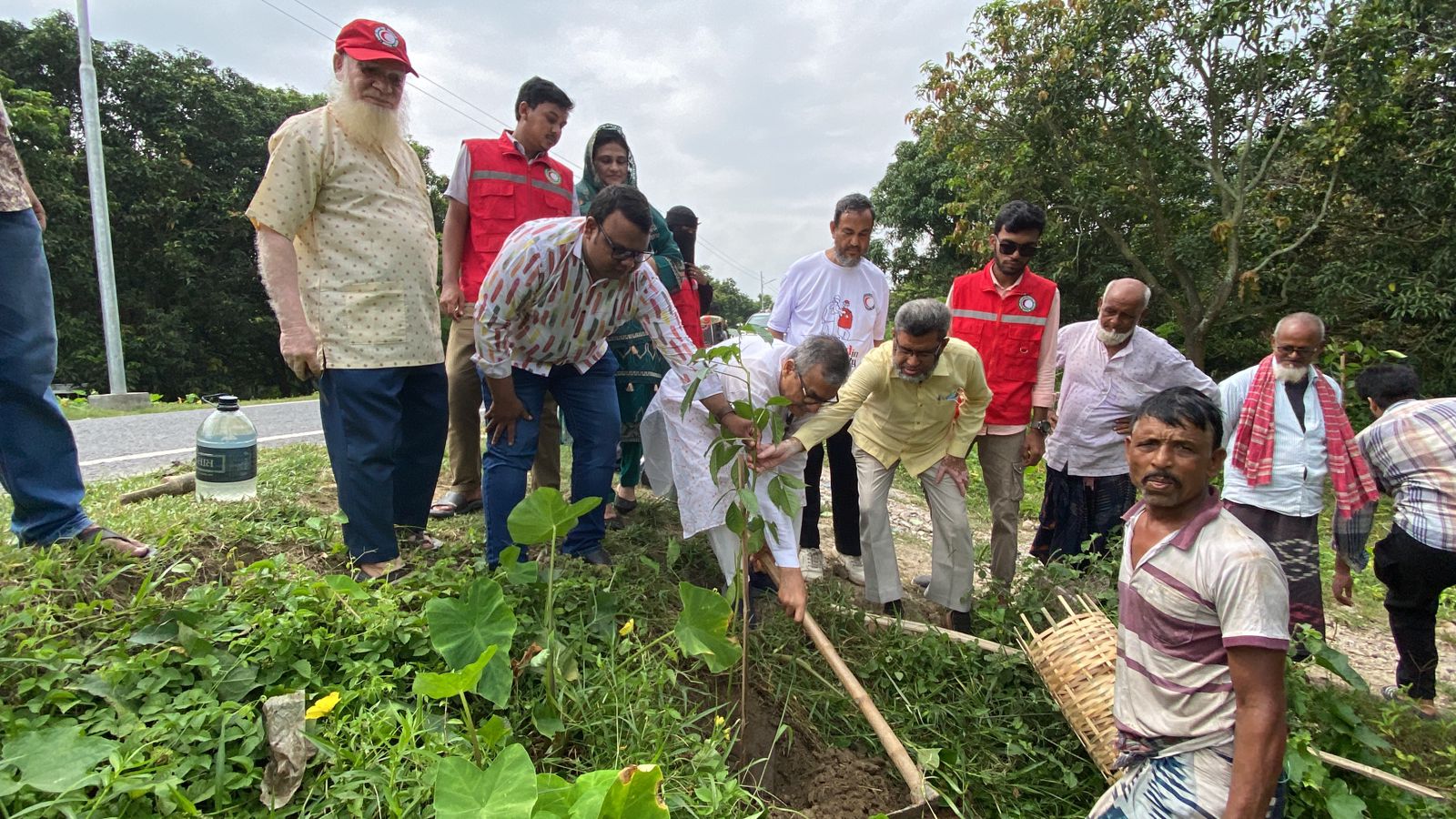 চাঁপাইনবাবগঞ্জ পৌরসভার নবনির্মিত সড়কে রেড ক্রিসেন্টের বৃক্ষরোপণ