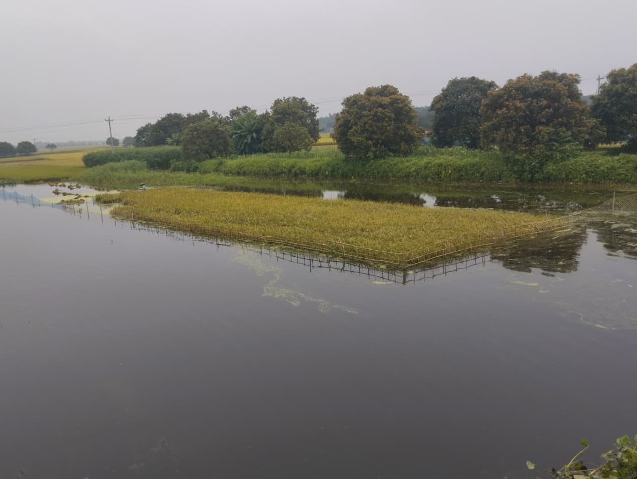 চাঁপাইনবাঞ্জে হু হু করে বাড়ছে ৪ নদীর পানি,বিপৎসীমার ৭৩ সেমি নীচে পদ্মা