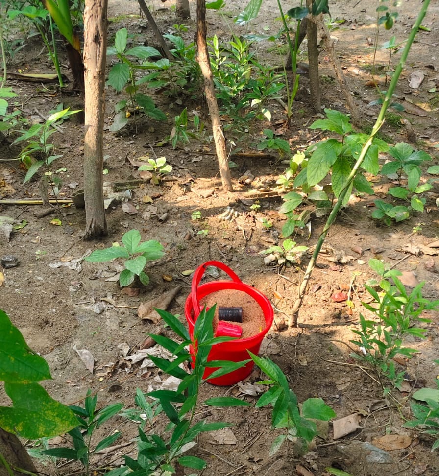 চাঁপাইনবাবগঞ্জে ককটেল বিস্ফোরণে দুজন আহত, উদ্ধার ১১টি