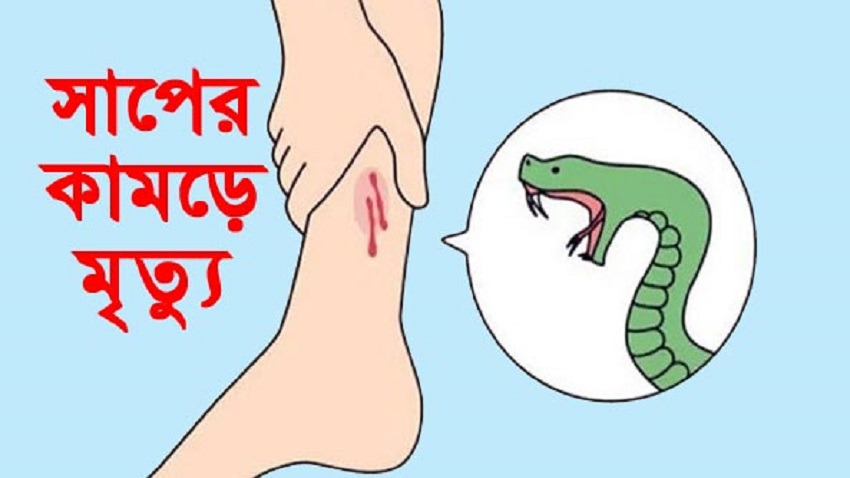 শিবগঞ্জে সাপের কামড়ে ১ জনের মৃত্যু