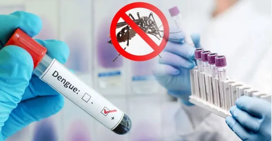 ২৪ ঘণ্টায় ডেঙ্গুতে ২ জনের মৃত্যু হাসপাতালে ভর্তি ৯৮৮