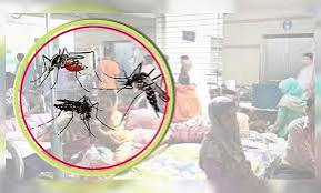 ২৪ ঘণ্টায় ডেঙ্গুতে দুইজনের মৃত্যু, হাসপাতালে ৯৯৬