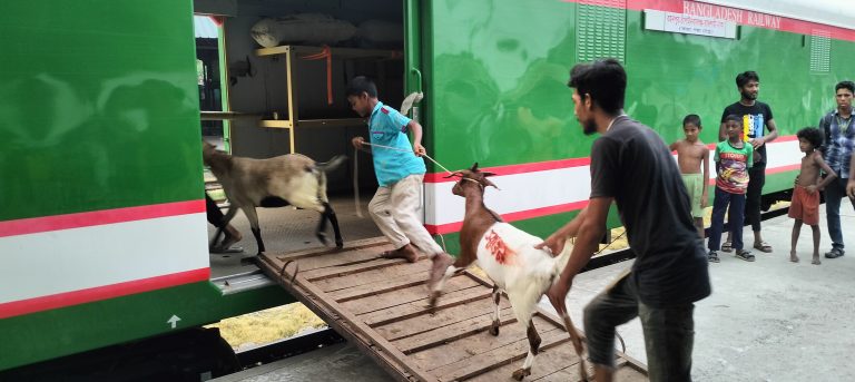 কোরবানী ঈদ উপলক্ষে চাঁপাইনবাবগঞ্জ-পদ্মাসেতু-ঢাকা রুটে ক্যাটল স্পেশাল ট্রেন চলাচল শুরু