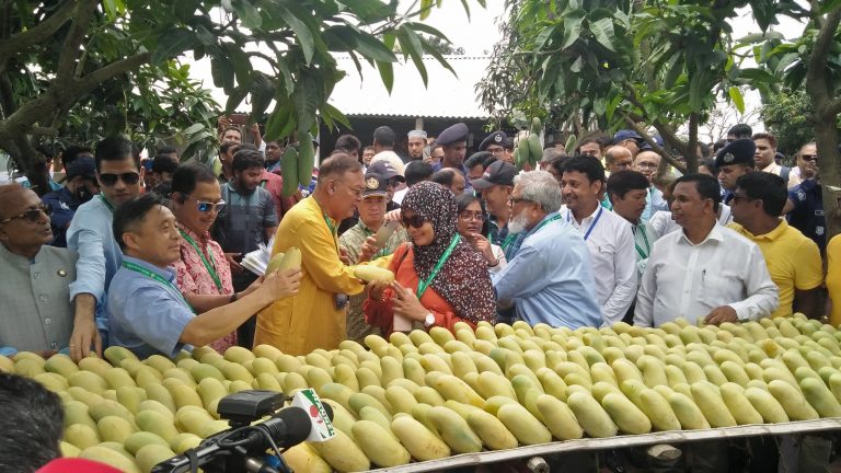 চাঁপাইনবাবগঞ্জে কৃষিমন্ত্রীর নেতৃত্বে আম বাগান পরিদর্শন করলেন বিদেশী রাষ্ট্রদূতরা