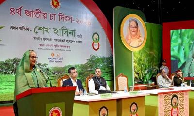 চায়ের বহুমুখী উৎপাদনের দিকে মনোযোগ দিতে আহ্বান প্রধানমন্ত্রীর