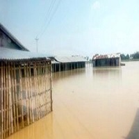 পদ্মা মহানন্দা পুনর্ভবায় বেড়েছে পানি নিমজ্জিত ১৩৫৪ হেক্টর জমির ফসল