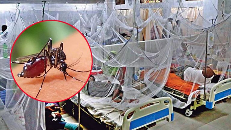 ডেঙ্গুতে একদিনে সর্বোচ্চ ৯ জনের মৃত্যু