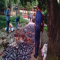 আদালতের নির্দেশে চাঁপাইনবাবগঞ্জে বিপুল পরিমান মাদকদ্রব্য ধ্বংস