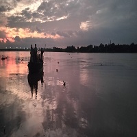 ক্ষতির মূখে ১৬ হাজার বিঘা জমির ফসল ও  ৮,১১৫ জন কৃষক