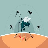 চাঁপাইনবাবগঞ্জে ২৪ ঘণ্টায় ডেঙ্গুতে আরো ৯ জন আক্রান্ত