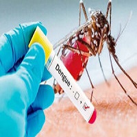 ডেঙ্গুতে আরো ৫ মৃত্যু, হাসপাতালে ভর্তি ৩৪৪