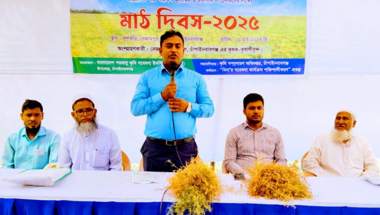 নাচোলে মসুর ডালের উন্নত জাত  সম্প্রসারণে মাঠ দিবস অনুষ্ঠিত