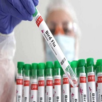 মেক্সিকোতে প্রথম এইচ৫এন১ বার্ড ফ্লু রোগী শনাক্ত