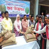 গোমস্তাপুর ও ভোলাহাটে কৃষি প্রণোদনার ধান বীজ বিতরণ