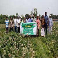 নাচোলে মাঠ দিবস অনুষ্ঠিত