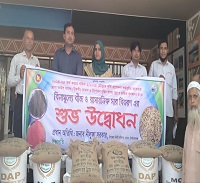 নাচোলে কৃষকের মাঝে ধান বীজ ও রাসায়নিক সার বিতরণ