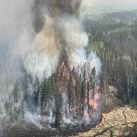 কানাডায় ভয়াবহ দাবানল, ম্যানিটোবায় জরুরি অবস্থা জারি