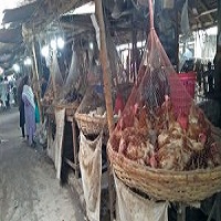 চালের দাম কিছুটা কমেছে; বেড়েছে দেশী মুরগি