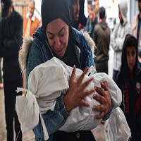 গাজায় প্রাণহানি ৫৫ হাজার ছুঁইছুঁই