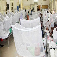 ১ দিনেই ২৮৮ ডেঙ্গু আক্রান্ত হয়ে হাসপাতালে ভর্তি