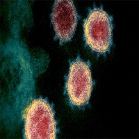 দেশে আরও ২১ জনের করোনা শনাক্ত