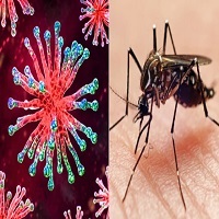 সারাদেশে ডেঙ্গু ও করোনায় ৩ জনের মৃত্যু