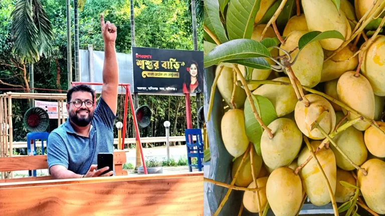 আম ব্যবসায়ী ওমর সানী