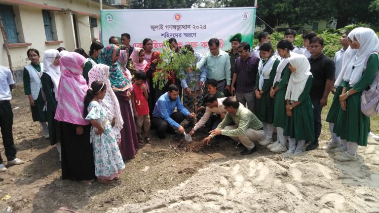 চাঁপাইনবাবগঞ্জে জুলাই শহীদদের স্মরণে বৃক্ষরোপণ কর্মসূচি