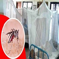 সারাদেশে ২৪ ঘণ্টায় ডেঙ্গুতে ৩ জনের মৃ*ত্যু, হাসপাতালে ভর্তি ৪২৫