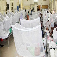 সারা দেশে ডেঙ্গুতে ১ জনের মৃত্যু, আক্রান্ত ৩৮৬